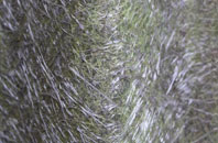 Withersdane fibreglass roof work